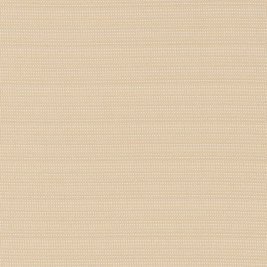D2830 Plain & Solid Almond Beige & Taupe Charlotte Fabrics