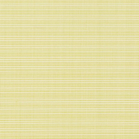 D2838 Plain & Solid Citrus Green Charlotte Fabrics