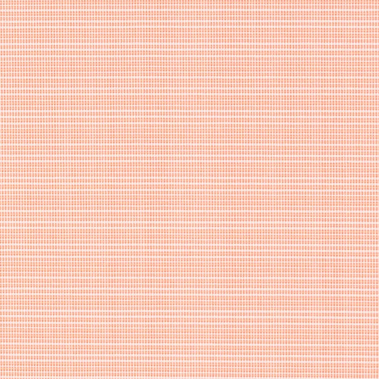 D2840 Plain & Solid Salmon Orange & Rust Charlotte Fabrics