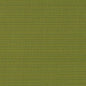 D2844 Plain & Solid Grass Green Charlotte Fabrics