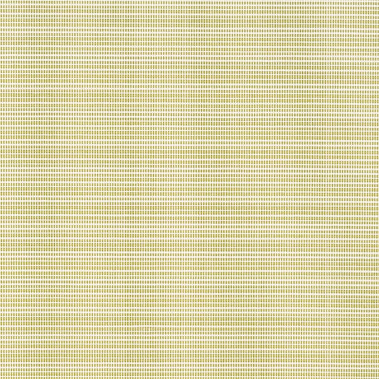 D2846 Plain & Solid Avocado Green Charlotte Fabrics
