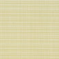 D2846 Plain & Solid Avocado Green Charlotte Fabrics