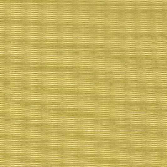 D2848 Plain & Solid Pistachio Green Charlotte Fabrics