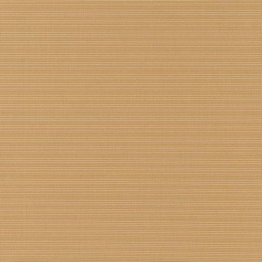 D2858 Plain & Solid Hazelnut Brown Charlotte Fabrics