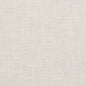 D285 Plain & Solid Natural White & Ivory Charlotte Fabrics