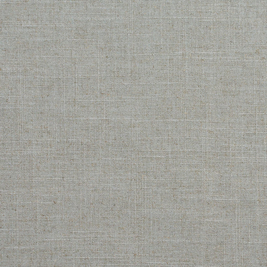 D286 Plain & Solid Moonstone Grey & Silver Charlotte Fabrics