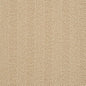 D2895 Herringbone & Chevron,Plain & Solid Biscuit Beige & Taupe Charlotte Fabrics