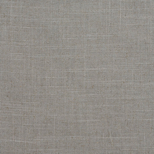 D290 Plain & Solid Platinum Grey & Silver Charlotte Fabrics