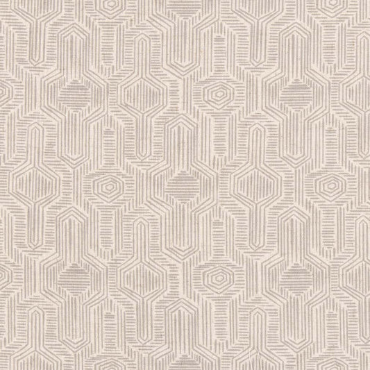 D2940 Abstract & Geometric,Global Cloud Grey & Silver Charlotte Fabrics