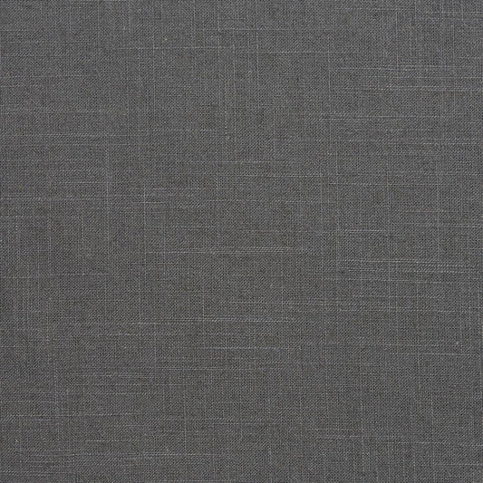 D295 Plain & Solid Graphite Grey & Silver Charlotte Fabrics