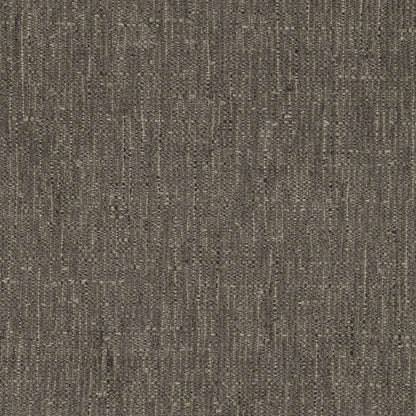 D2962 Plain & Solid Graphite Grey & Silver Charlotte Fabrics