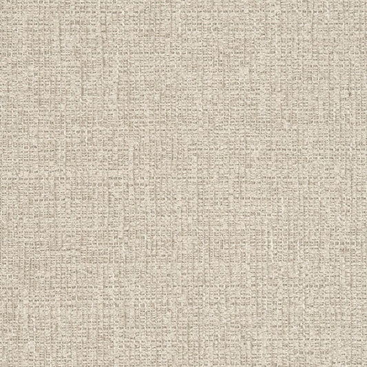 D2966 Plain & Solid Silver Grey & Silver Charlotte Fabrics