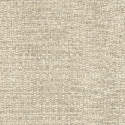 D2969 Plain & Solid Bone Beige & Taupe Charlotte Fabrics
