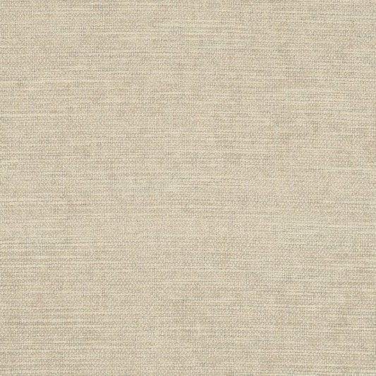 D2969 Plain & Solid Bone Beige & Taupe Charlotte Fabrics