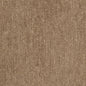 D2972 Plain & Solid Acorn Beige & Taupe,Brown Charlotte Fabrics