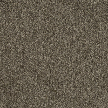 D2975 Plain & Solid Ash Grey & Silver Charlotte Fabrics