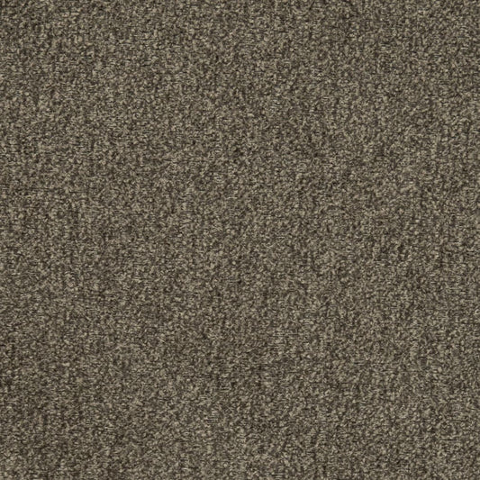 D2975 Plain & Solid Ash Grey & Silver Charlotte Fabrics