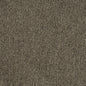 D2975 Plain & Solid Ash Grey & Silver Charlotte Fabrics