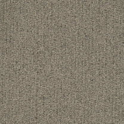 D2976 Plain & Solid Nickle Grey & Silver Charlotte Fabrics