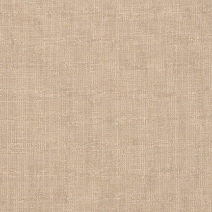 D2978 Plain & Solid Beige Beige & Taupe Charlotte Fabrics