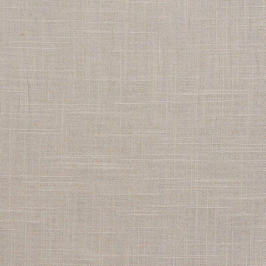 D297 Plain & Solid Cloud Grey & Silver Charlotte Fabrics