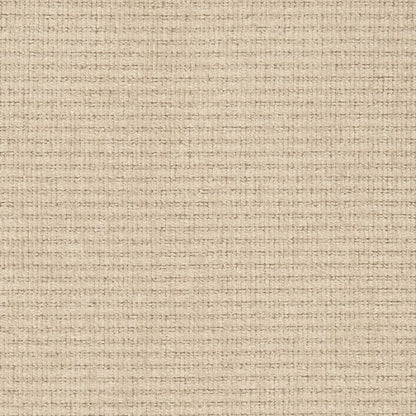 D2987 Plain & Solid Putty Beige & Taupe Charlotte Fabrics