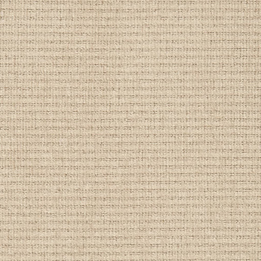 D2987 Plain & Solid Putty Beige & Taupe Charlotte Fabrics
