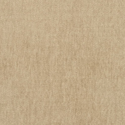 D2992 Plain & Solid Oat Beige & Taupe Charlotte Fabrics
