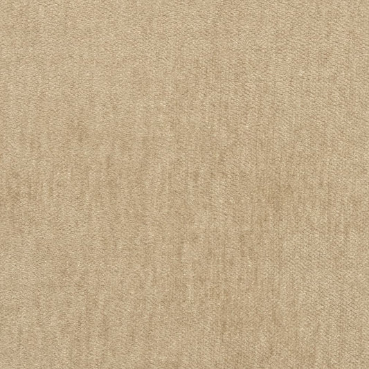 D2992 Plain & Solid Oat Beige & Taupe Charlotte Fabrics