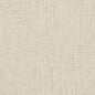 D2994 Plain & Solid Frost Grey & Silver Charlotte Fabrics
