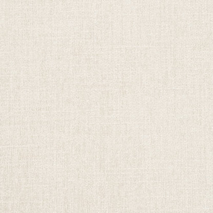 D2995 Plain & Solid Ice White & Ivory Charlotte Fabrics