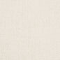 D2995 Plain & Solid Ice White & Ivory Charlotte Fabrics