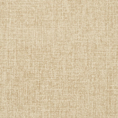 D2996 Plain & Solid Fawn Beige & Taupe Charlotte Fabrics
