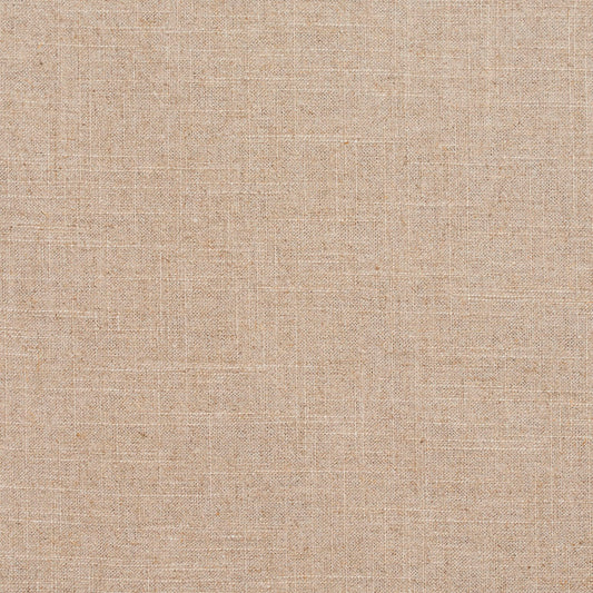 D299 Plain & Solid Ecru Beige & Taupe Charlotte Fabrics