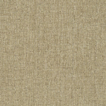D3012 Plain & Solid Peanut Beige & Taupe Charlotte Fabrics