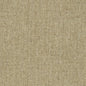 D3012 Plain & Solid Peanut Beige & Taupe Charlotte Fabrics