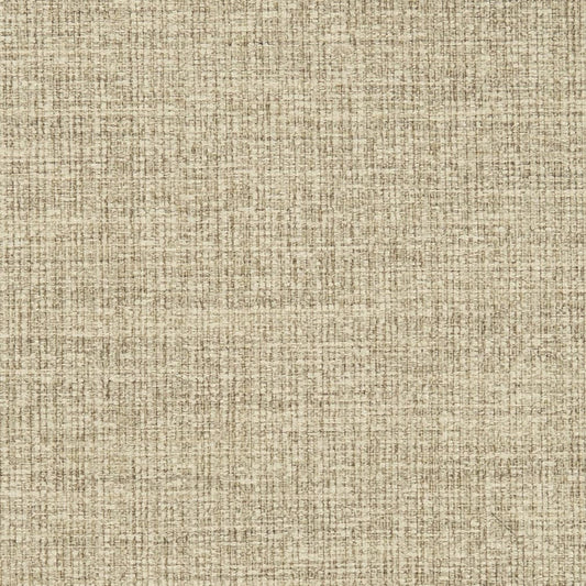 D3013 Plain & Solid Oatmeal Beige & Taupe Charlotte Fabrics