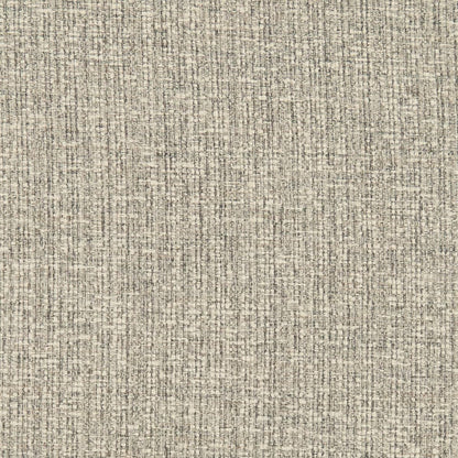 D3014 Plain & Solid Pewter Grey & Silver Charlotte Fabrics
