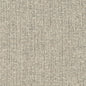 D3014 Plain & Solid Pewter Grey & Silver Charlotte Fabrics