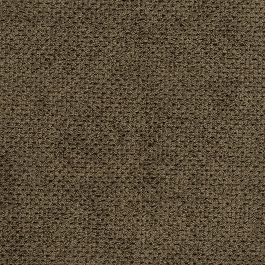D3016 Plain & Solid Umber Brown Charlotte Fabrics
