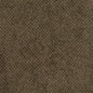 D3016 Plain & Solid Umber Brown Charlotte Fabrics