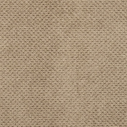 D3018 Plain & Solid Taupe Beige & Taupe,Brown Charlotte Fabrics