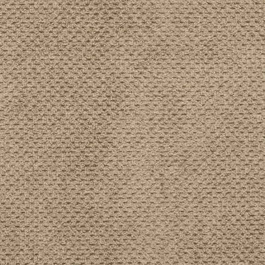 D3018 Plain & Solid Taupe Beige & Taupe,Brown Charlotte Fabrics