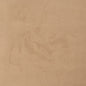 D3193 Plain & Solid Oat Beige & Taupe,Brown Charlotte Fabrics
