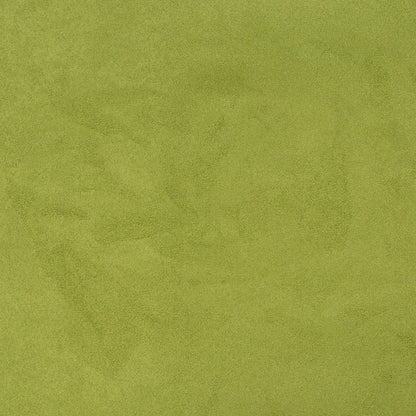 D3208 Plain & Solid Pear Green Charlotte Fabrics