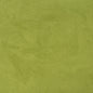 D3208 Plain & Solid Pear Green Charlotte Fabrics
