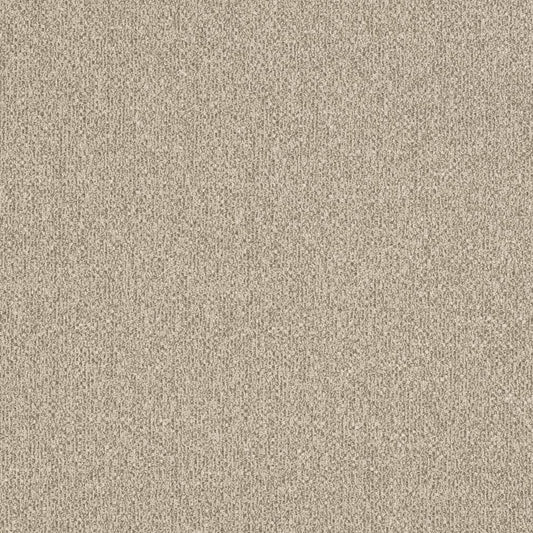 D3241 Plain & Solid Beige & Taupe Charlotte Fabrics Tweed & Textures
