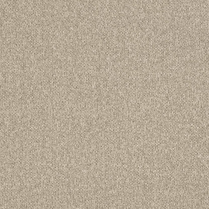 D3241 Plain & Solid Beige Beige & Taupe Charlotte Fabrics