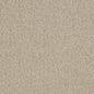 D3241 Plain & Solid Beige Beige & Taupe Charlotte Fabrics