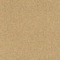 D3243 Plain & Solid Gold Gold & Yellow Charlotte Fabrics